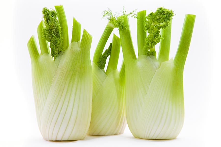 Fenchel