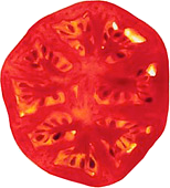 Tomatenscheibe